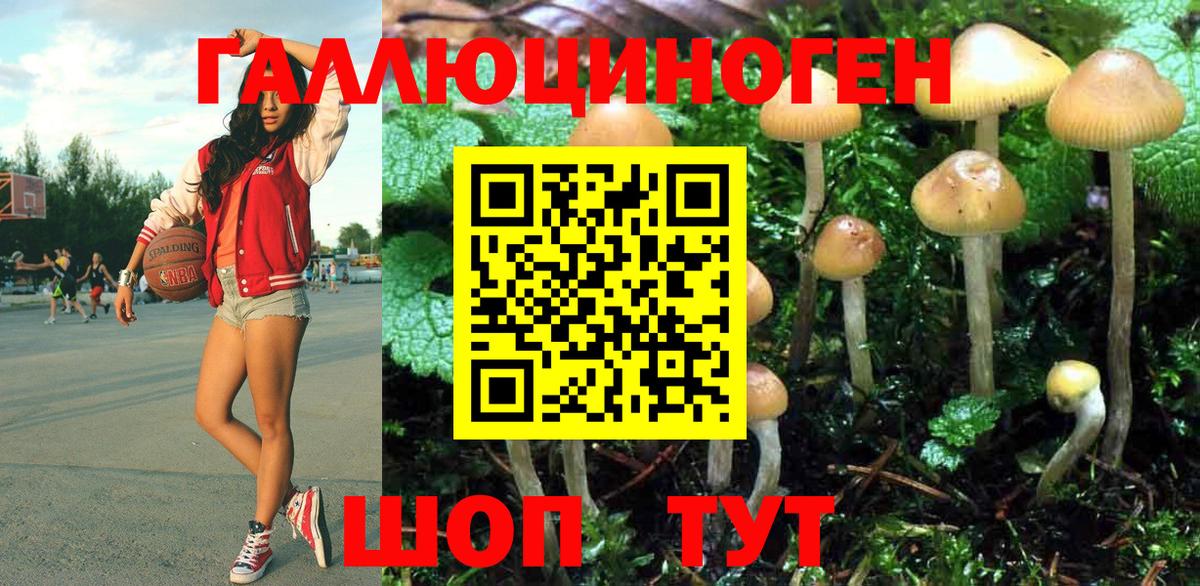Галлюциногенные грибы GOLDEN TEACHER Дербент